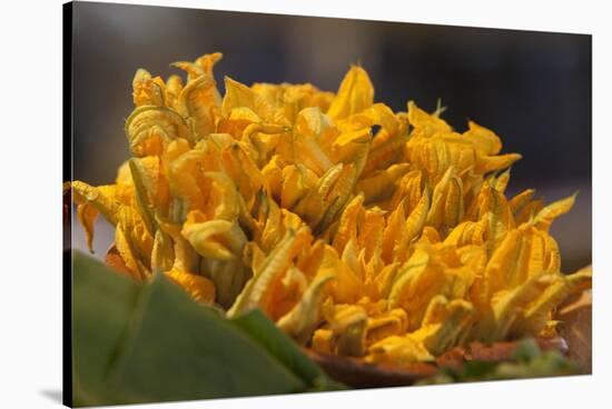 Mexico, Oaxaca, Squash Blossom Flowers-Merrill Images-Stretched Canvas