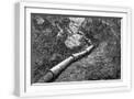 White Frame