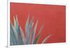 Mexico, San Miguel De Allende. Agave Plant Next to Colorful Wall-Jaynes Gallery-Framed Photographic Print