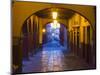 Mexico, San Miguel de Allende, Back streets of the town with colorful buildings-Terry Eggers-Mounted Photographic Print