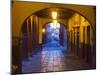 Mexico, San Miguel de Allende, Back streets of the town with colorful buildings-Terry Eggers-Mounted Premium Photographic Print