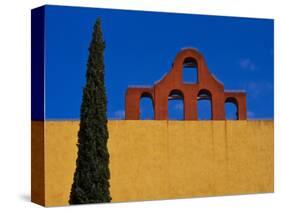 Mexico, San Miguel de Allende, Blue sky, city wall and Cypress Tree-Terry Eggers-Stretched Canvas