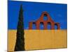 Mexico, San Miguel de Allende, Blue sky, city wall and Cypress Tree-Terry Eggers-Mounted Photographic Print