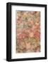 Mexico, San Miguel De Allende. Bougainvillea Growing on Wall-Jaynes Gallery-Framed Photographic Print