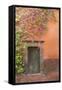 Mexico, San Miguel De Allende. Bougainvillea Outside Wooden Doorway-Jaynes Gallery-Framed Stretched Canvas