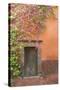 Mexico, San Miguel De Allende. Bougainvillea Outside Wooden Doorway-Jaynes Gallery-Stretched Canvas