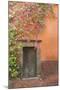 Mexico, San Miguel De Allende. Bougainvillea Outside Wooden Doorway-Jaynes Gallery-Mounted Photographic Print