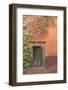Mexico, San Miguel De Allende. Bougainvillea Outside Wooden Doorway-Jaynes Gallery-Framed Photographic Print