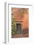 Mexico, San Miguel De Allende. Bougainvillea Outside Wooden Doorway-Jaynes Gallery-Framed Photographic Print