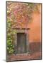 Mexico, San Miguel De Allende. Bougainvillea Outside Wooden Doorway-Jaynes Gallery-Mounted Photographic Print