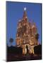 Mexico, San Miguel De Allende. Cathedral of San Miguel Archangel Lit Up at Night-Brenda Tharp-Mounted Photographic Print