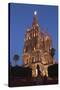 Mexico, San Miguel De Allende. Cathedral of San Miguel Archangel Lit Up at Night-Brenda Tharp-Stretched Canvas