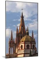 Mexico, San Miguel De Allende. Cathedral of San Miguel Archangel-Brenda Tharp-Mounted Photographic Print