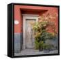 Mexico, San Miguel De Allende. Colorful Doorway. San Miguel De Allende-Jaynes Gallery-Framed Stretched Canvas
