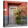 Mexico, San Miguel De Allende. Colorful Doorway. San Miguel De Allende-Jaynes Gallery-Stretched Canvas