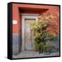 Mexico, San Miguel De Allende. Colorful Doorway. San Miguel De Allende-Jaynes Gallery-Framed Stretched Canvas