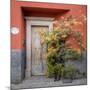 Mexico, San Miguel De Allende. Colorful Doorway. San Miguel De Allende-Jaynes Gallery-Mounted Premium Photographic Print