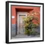 Mexico, San Miguel De Allende. Colorful Doorway. San Miguel De Allende-Jaynes Gallery-Framed Photographic Print