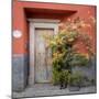 Mexico, San Miguel De Allende. Colorful Doorway. San Miguel De Allende-Jaynes Gallery-Mounted Photographic Print