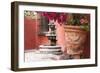 Mexico, San Miguel de Allende, courtyard in San Miguel de Allende-Hollice Looney-Framed Photographic Print