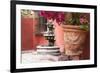 Mexico, San Miguel de Allende, courtyard in San Miguel de Allende-Hollice Looney-Framed Premium Photographic Print