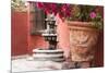 Mexico, San Miguel de Allende, courtyard in San Miguel de Allende-Hollice Looney-Mounted Premium Photographic Print