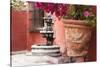 Mexico, San Miguel de Allende, courtyard in San Miguel de Allende-Hollice Looney-Stretched Canvas