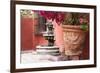 Mexico, San Miguel de Allende, courtyard in San Miguel de Allende-Hollice Looney-Framed Photographic Print