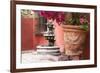 Mexico, San Miguel de Allende, courtyard in San Miguel de Allende-Hollice Looney-Framed Photographic Print