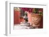 Mexico, San Miguel de Allende, courtyard in San Miguel de Allende-Hollice Looney-Framed Photographic Print