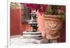 Mexico, San Miguel de Allende, courtyard in San Miguel de Allende-Hollice Looney-Framed Photographic Print