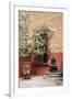 Mexico, San Miguel de Allende, courtyard in San Miguel de Allende-Hollice Looney-Framed Premium Photographic Print