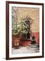 Mexico, San Miguel de Allende, courtyard in San Miguel de Allende-Hollice Looney-Framed Premium Photographic Print