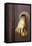 Mexico, San Miguel de Allende. Detail of a door and door knocker.-Don Paulson-Framed Stretched Canvas