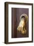 Mexico, San Miguel de Allende. Detail of a door and door knocker.-Don Paulson-Framed Photographic Print