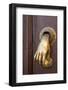 Mexico, San Miguel de Allende. Detail of a door and door knocker.-Don Paulson-Framed Photographic Print