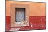 Mexico, San Miguel de Allende. Dog sitting in curtained window.-Don Paulson-Mounted Photographic Print