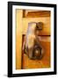 Mexico, San Miguel de Allende, doorknocker-Hollice Looney-Framed Photographic Print