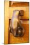 Mexico, San Miguel de Allende, doorknocker-Hollice Looney-Mounted Photographic Print