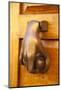 Mexico, San Miguel de Allende, doorknocker-Hollice Looney-Mounted Photographic Print