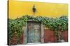 Mexico, San Miguel de Allende. Doorway to colorful building.-Don Paulson-Stretched Canvas