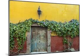 Mexico, San Miguel de Allende. Doorway to colorful building.-Don Paulson-Mounted Photographic Print