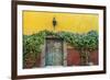 Mexico, San Miguel de Allende. Doorway to colorful building.-Don Paulson-Framed Photographic Print