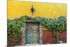 Mexico, San Miguel de Allende. Doorway to colorful building.-Don Paulson-Mounted Photographic Print