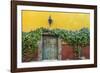 Mexico, San Miguel de Allende. Doorway to colorful building.-Don Paulson-Framed Photographic Print