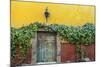 Mexico, San Miguel de Allende. Doorway to colorful building.-Don Paulson-Mounted Photographic Print