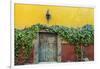 Mexico, San Miguel de Allende. Doorway to colorful building.-Don Paulson-Framed Photographic Print