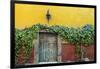 Mexico, San Miguel de Allende. Doorway to colorful building.-Don Paulson-Framed Photographic Print