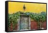 Mexico, San Miguel de Allende. Doorway to colorful building.-Don Paulson-Framed Stretched Canvas