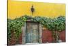 Mexico, San Miguel de Allende. Doorway to colorful building.-Don Paulson-Stretched Canvas
